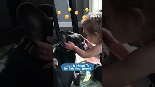Little Girl Adorably Kisses Her Dog and Gets Kissed Back