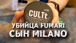 Табак CULT|Убийца FUMARI-Сын MILANO|Обзор табака