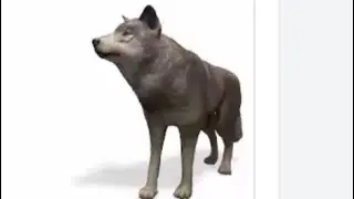 A joke for my friend