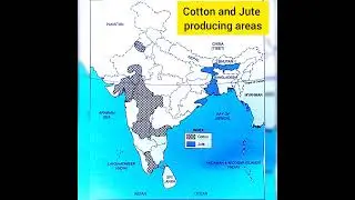 CLASS 10 geography (cotton and jute producing areas) in India in map