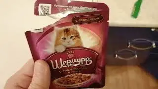 Обзор кошачьего корма) дегустирует британец) (перезалив)