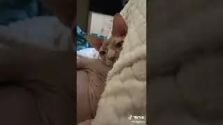 5кг чистого секса😂