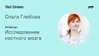 Исследование костного мозга