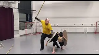 Disarms With Spear & Viking Shield