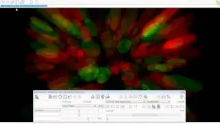 BluffTitler #1 Обзор