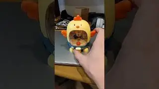 Баскетбольная Цыпа из Ярче