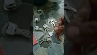 Apartment keys