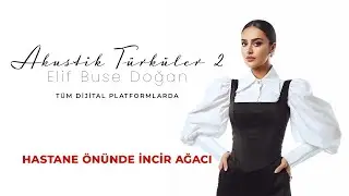 Elif Buse Doğan - Hastane Önünde İncir Ağacı