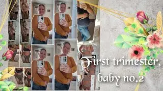 First trimester pregnancy baby no.2