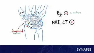 Что такое USMLE Step 2 CK и с чем его едят