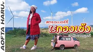 ไร่กองเซ้ง เขาค้อ เพชรบูรณ์ จอดนอน วิวกังหันลมเขาค้อ 12 องศา หนาวจริง หนาวจัง ในคืนคริสต์มาส