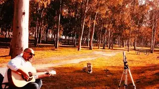 Eftal Güçoğlu / Değirmenler (Bülent Ortaçgil) / cover