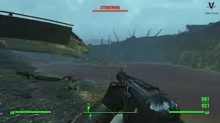 The Only Way to Deal With Stingwings