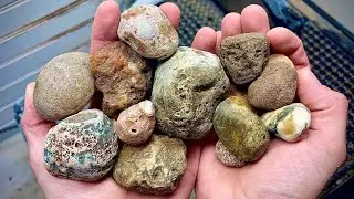 Are these UGLY agates beautiful inside?!