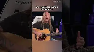 Acoustic Guitar Harmonies  #stevestine #guitarzoom #guitarlesson #stevestineguitar #guitarist