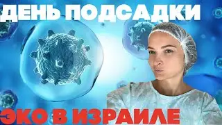 Я иду на подсадку эмбриона |Пожелайте мне удачи |5 день после забора яйцеклеток