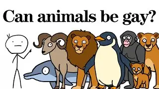 Can animals be gay? Animals That Practice Homosexuality!