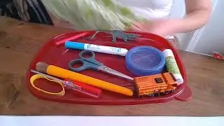 What Object Is Missing?