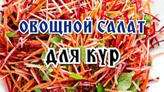 Овощной салат для кур: витаминная поддержка в сложный период