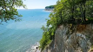 Wilder Wald am Meer - Fotosafari durch das UNESCO-Welterbe Alte Buchenwälder auf Jasmund