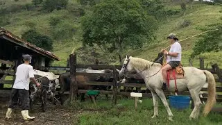 dia de vacinar os gados | VLOG