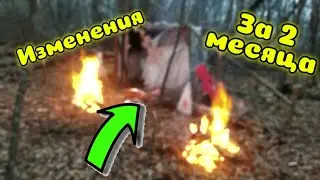 Что изменилось в лесном доме за 2 месяца.