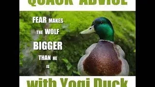 Quack Advice with Yogi Duck: Volume 7