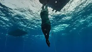 Про соревнования Freediving World Cup May 24 для тех, кто не в теме глубинных стартов.