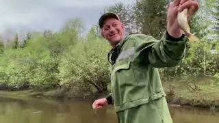 Огород! Посадки! Суп из щавеля с крапивой! Рыбалка и природа! #жизньвдеревне#деревня