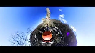 Arborist (VR testing)
