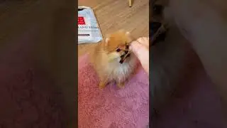 Пошли чай пить 😄