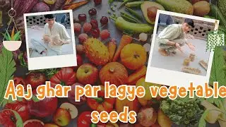 Aaj ghar par lagaye vegetable seeds 😄😃|@Himanshuthevlogs13