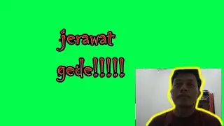 jerawat batu terbesar satisfying [Reaction] blackhead removal