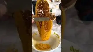 FRESH HONEY😋😋😍😍#shorts #viralshorts #satisfying #honey #viral