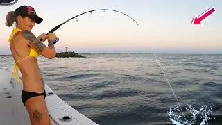 Girl has unwanted visitor fishing the jetty!