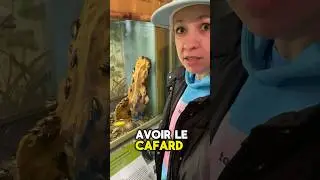 Уроки французского Депрессия из-за тараканов?