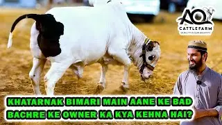 Kids vs NAUGTHY BACHRI 🤪 Shouq Karo to Aise 😍 AQ Cattle Farm | Cattle Market Karachi