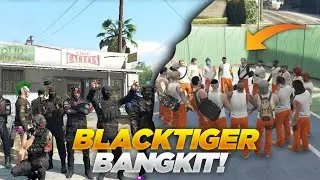 KEBANGKITAN BLACKTIGER SANG LEGENDA HOPEFULLY