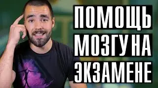 Ваш помощник на тестах и экзаменах. Принципы метапознания