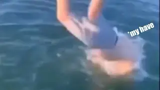 Perfectly Cut Screams +999