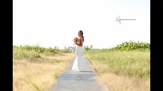 Latest Blog Post Quick Glance | P&M’s Wedding Highlights | Clearwater Beach Wedding Photographer