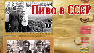 Губит людей не пиво  -  Вячеслав Невинный