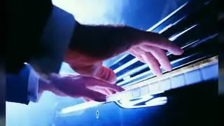 Классика Полевые цветы - Поль Де Сенневиль