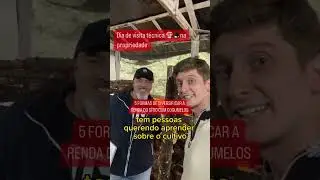 Os Caminhos Para Lucrar com o Cultivo de Cogumelos em Toras