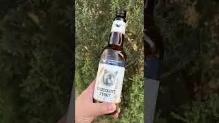 Chocolate Stout | Gorkovskaya Brewery #пиво  #еда #beer #обзор #shorts #shortsvideo