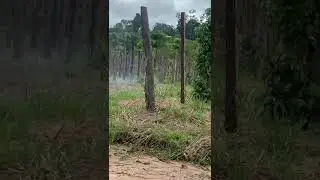 Trilha deu merda