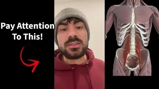 Deepest Muscle of the Human Body Affecting Your Life