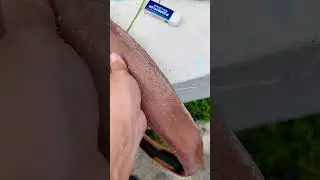 How I clean sealants from tubeless tires