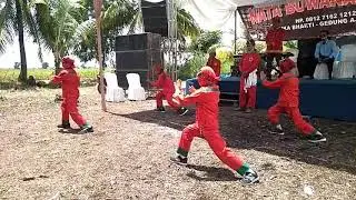 Pencak Silat Cabang Keratuan Lampung Jaya Grup Kab.Tulang Bawang Kec. Rawa Jitu Selatan