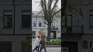 Kaunas Laisvės alėja